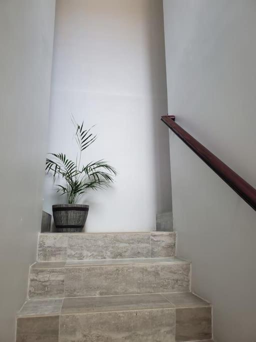 'The Solace' New Luxury Modern 1Bed 1Bath Apt. Portmore Exteriér fotografie